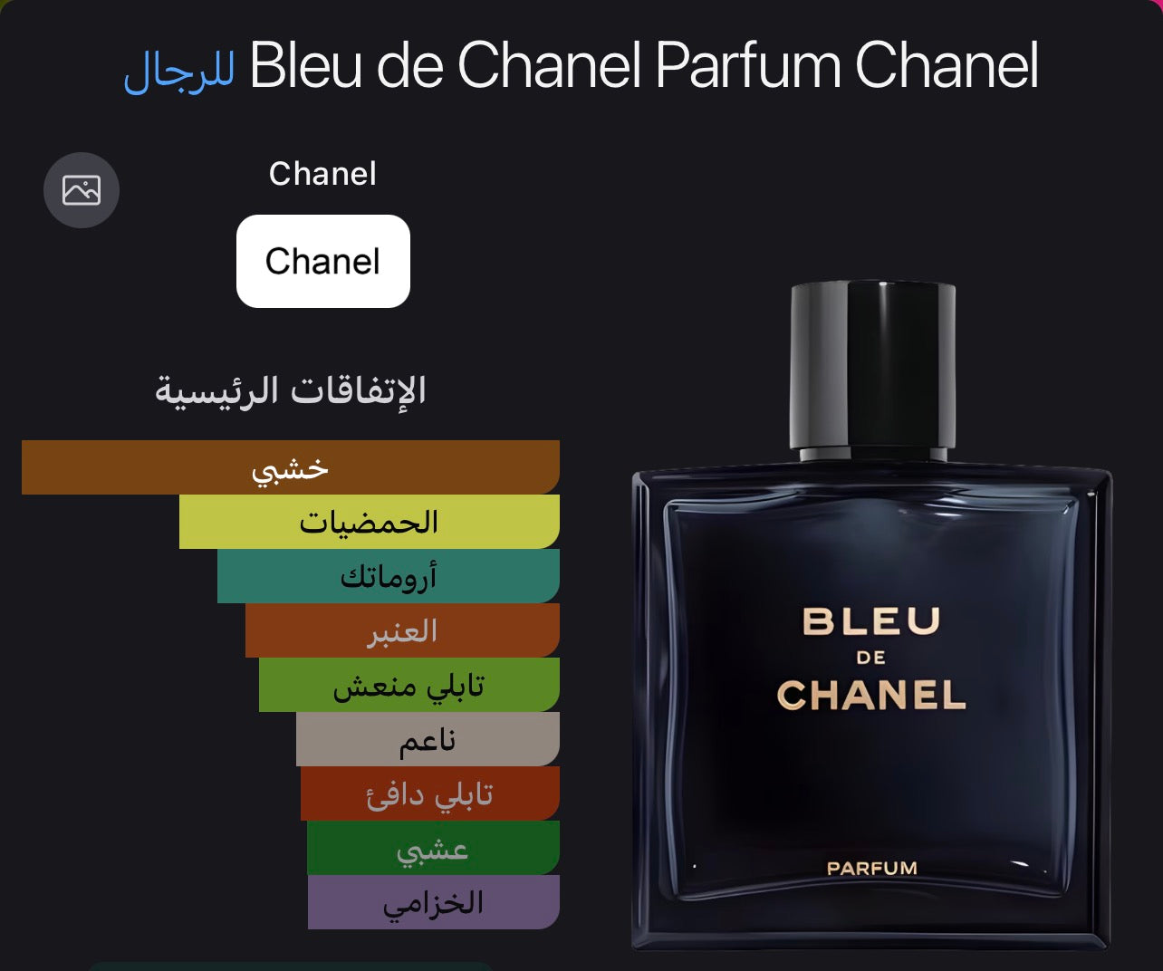 Bleu de Chanel Parfum 100 ML