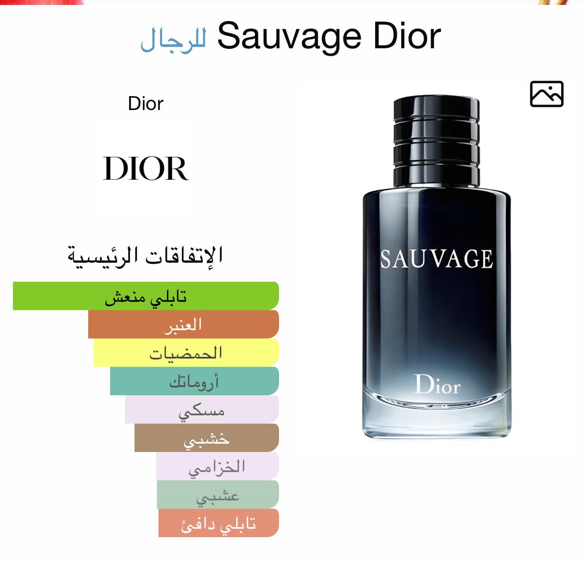 Dior Sauvage Eau de Parfum 100 ML